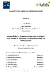 Vignette du fichier