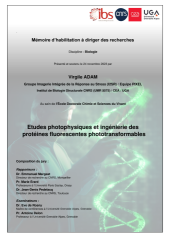 Vignette du fichier
