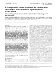 Vignette du fichier