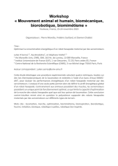 Vignette du fichier