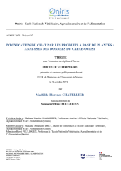 Vignette du fichier