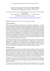 Vignette du fichier