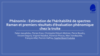 Vignette du fichier