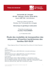 Vignette du fichier