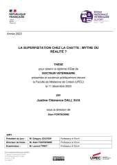 Vignette du fichier