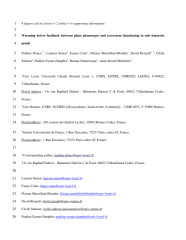 Vignette du fichier
