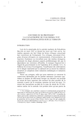 Vignette du fichier