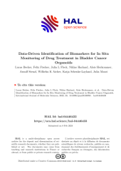 Vignette du fichier