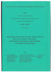 Vignette du fichier