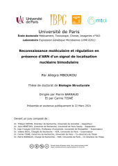 Vignette du fichier