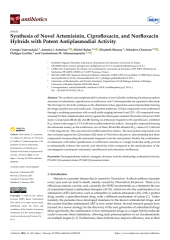 Vignette du fichier