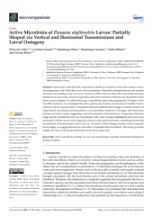 Vignette du fichier