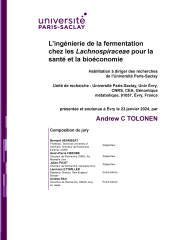 Vignette du fichier