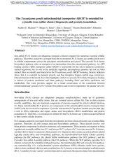 Vignette du fichier