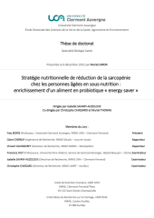 Vignette du fichier
