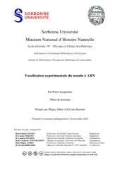 Vignette du fichier