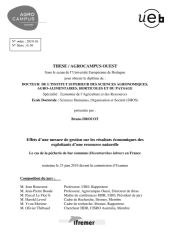 Vignette du fichier