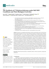 Vignette du fichier