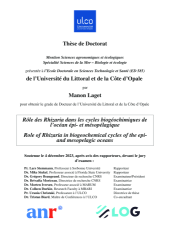 Vignette du fichier