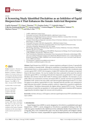 Vignette du fichier
