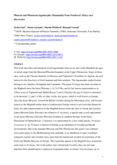 Vignette du fichier
