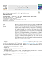 Vignette du fichier