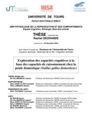 Vignette du fichier