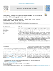 Vignette du fichier