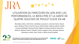 Vignette du fichier
