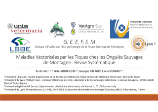 Vignette du fichier