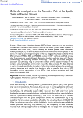 Vignette du fichier