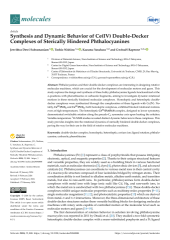 Vignette du fichier