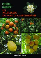 Vignette du fichier