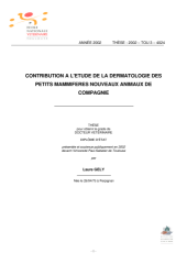 Vignette du fichier