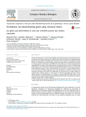 Vignette du fichier
