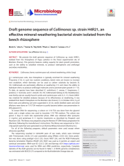Vignette du fichier