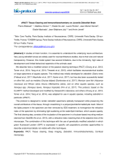 Vignette du fichier