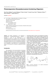 Vignette du fichier