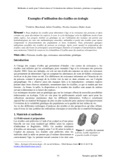 Vignette du fichier