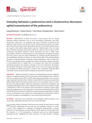 Vignette du fichier
