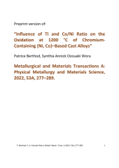 Vignette du fichier