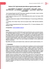 Vignette du fichier