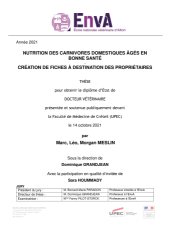 Vignette du fichier