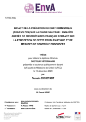 Vignette du fichier