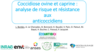 Vignette du fichier