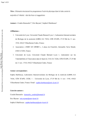 Vignette du fichier