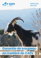 Vignette du fichier