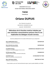 Vignette du fichier