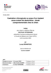 Vignette du fichier