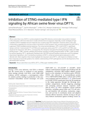 Vignette du fichier